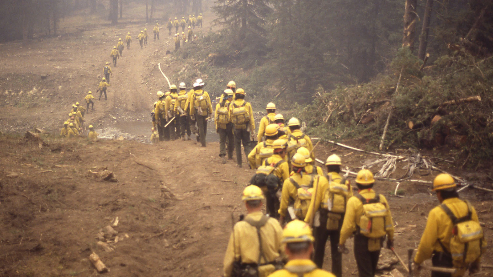 About 9,000 firefighters were involved in a massive effort to battle the 1988 Yellowstone National Park wildfires.