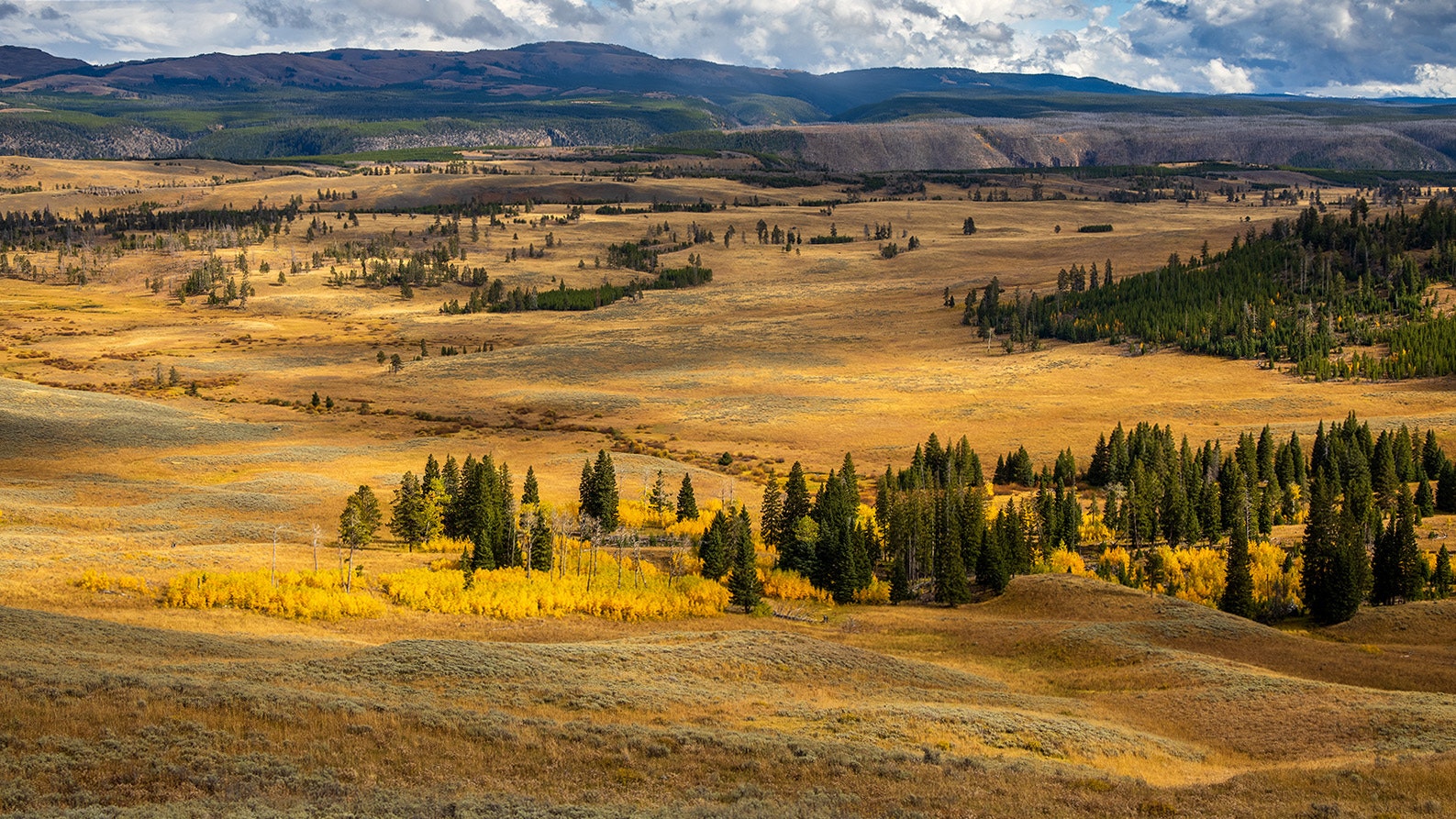 October is prime fall colors viewing season around Yellowstone National Park.
