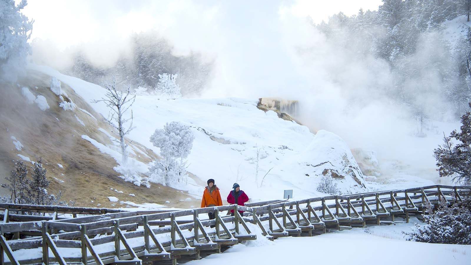 Yellowstone Mammoth High Springs