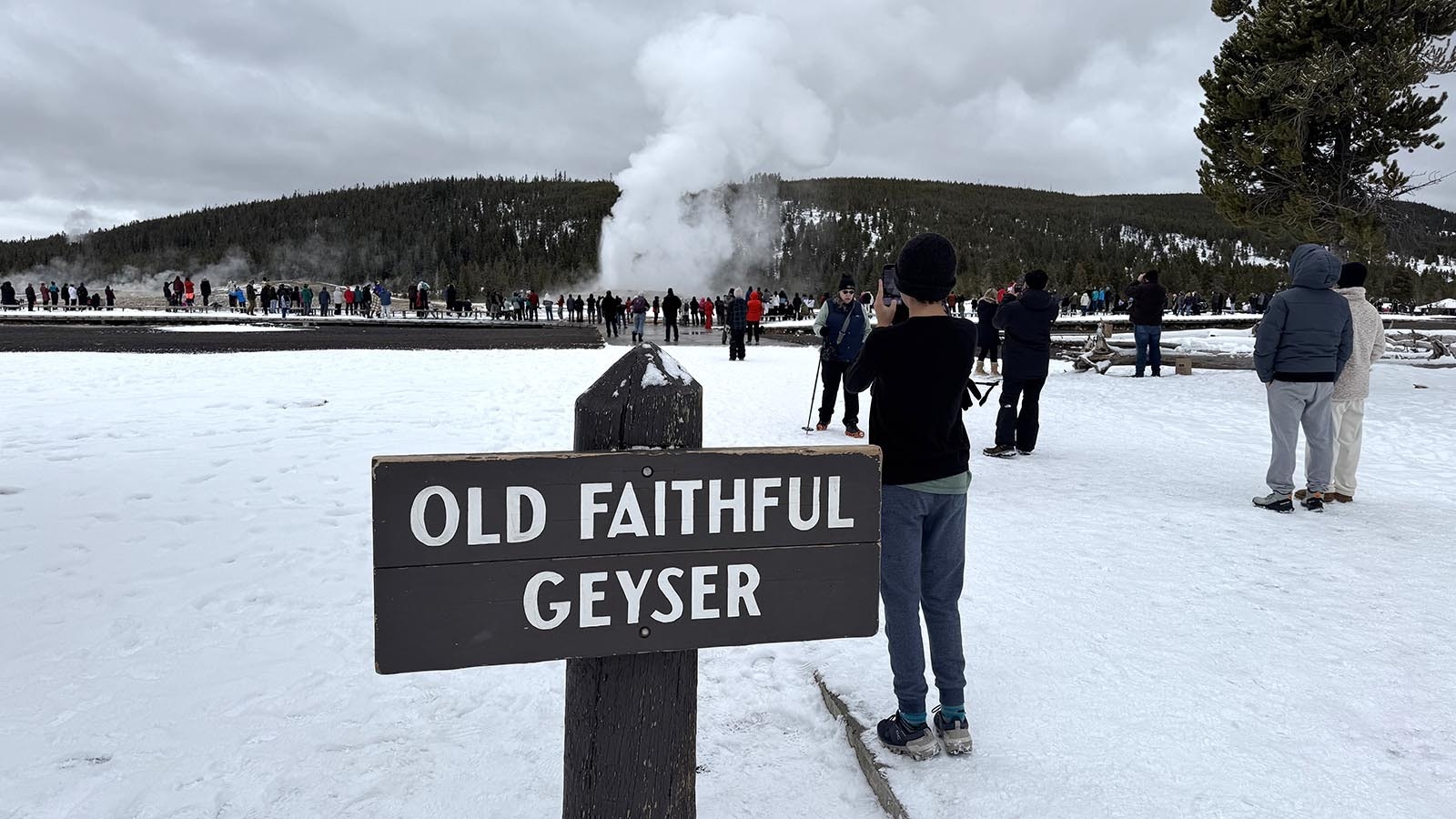 Yellowstone National Park's most famous attraction, Old Faithful Geyser, shows the thermal forces percolating underneath the region.