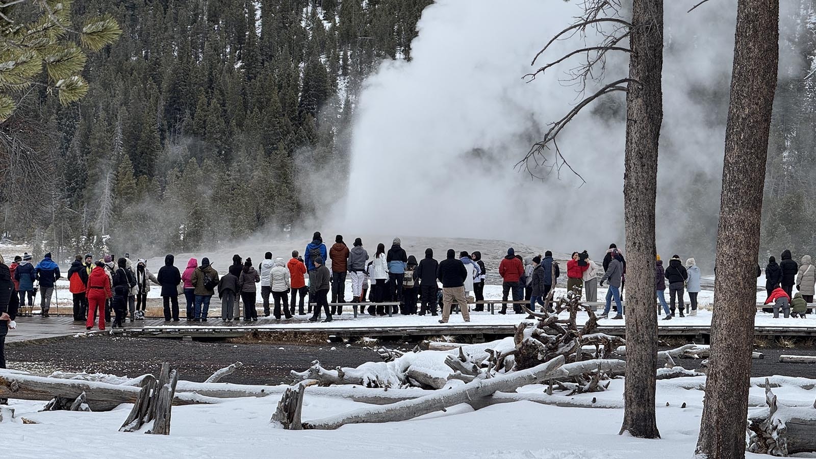 Yellowstone National Park's most famous attraction, Old Faithful Geyser, shows the thermal forces percolating underneath the region.