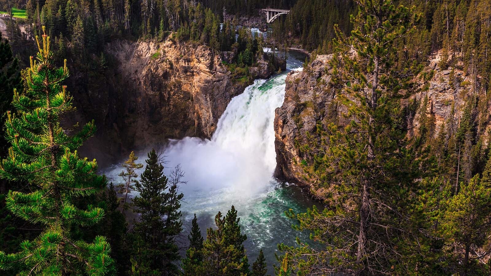 The Upper Falls in Yellowstone National Park.
