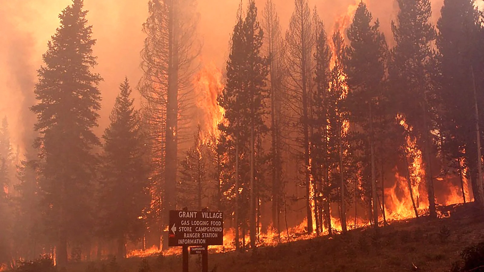 When it comes to wildfire seasons, there’s no forgetting the devastating fires that hit Yellowstone National Park in 1988. They burned 800,000 acres, which is why even small fires today get an aggressive response. Here, wildfire rages at Grant Village in the park.