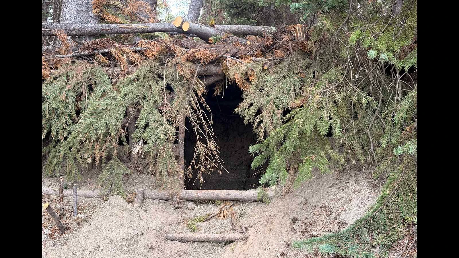 Christy Risley of Spokane, Washington, was walking around Grant Village with her dog when she found a sizable — and illegal — "Hobbit hole" dug into the side of a sandy hill along Yellowstone Lake.