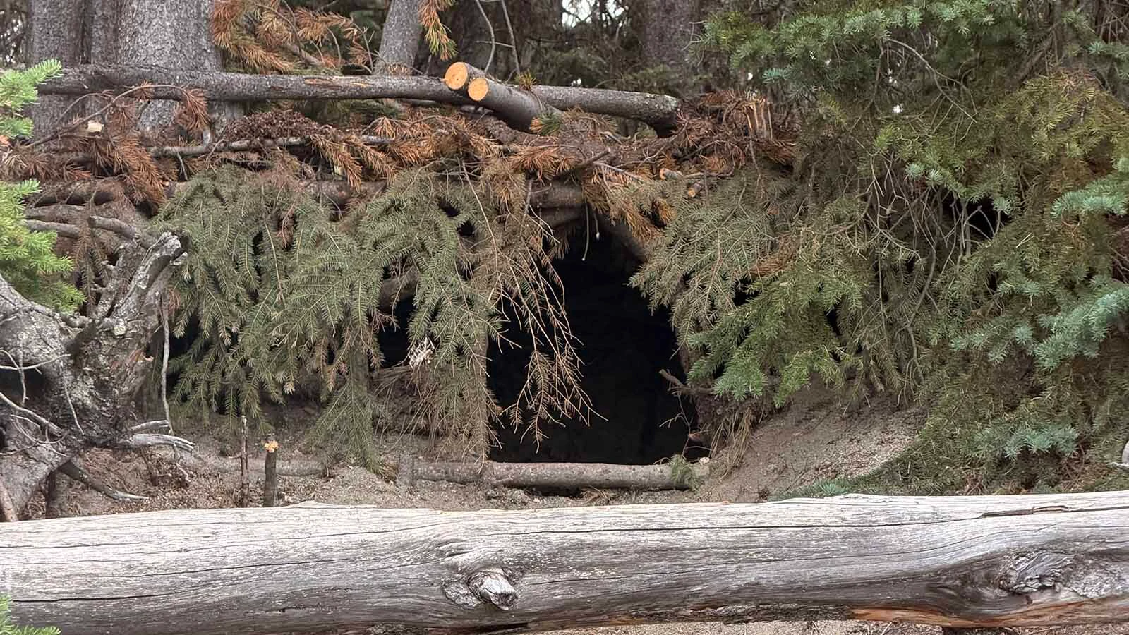 Christy Risley of Spokane, Washington, was walking around Grant Village with her dog when she found a sizable — and illegal — "Hobbit hole" dug into the side of a sandy hill along Yellowstone Lake.