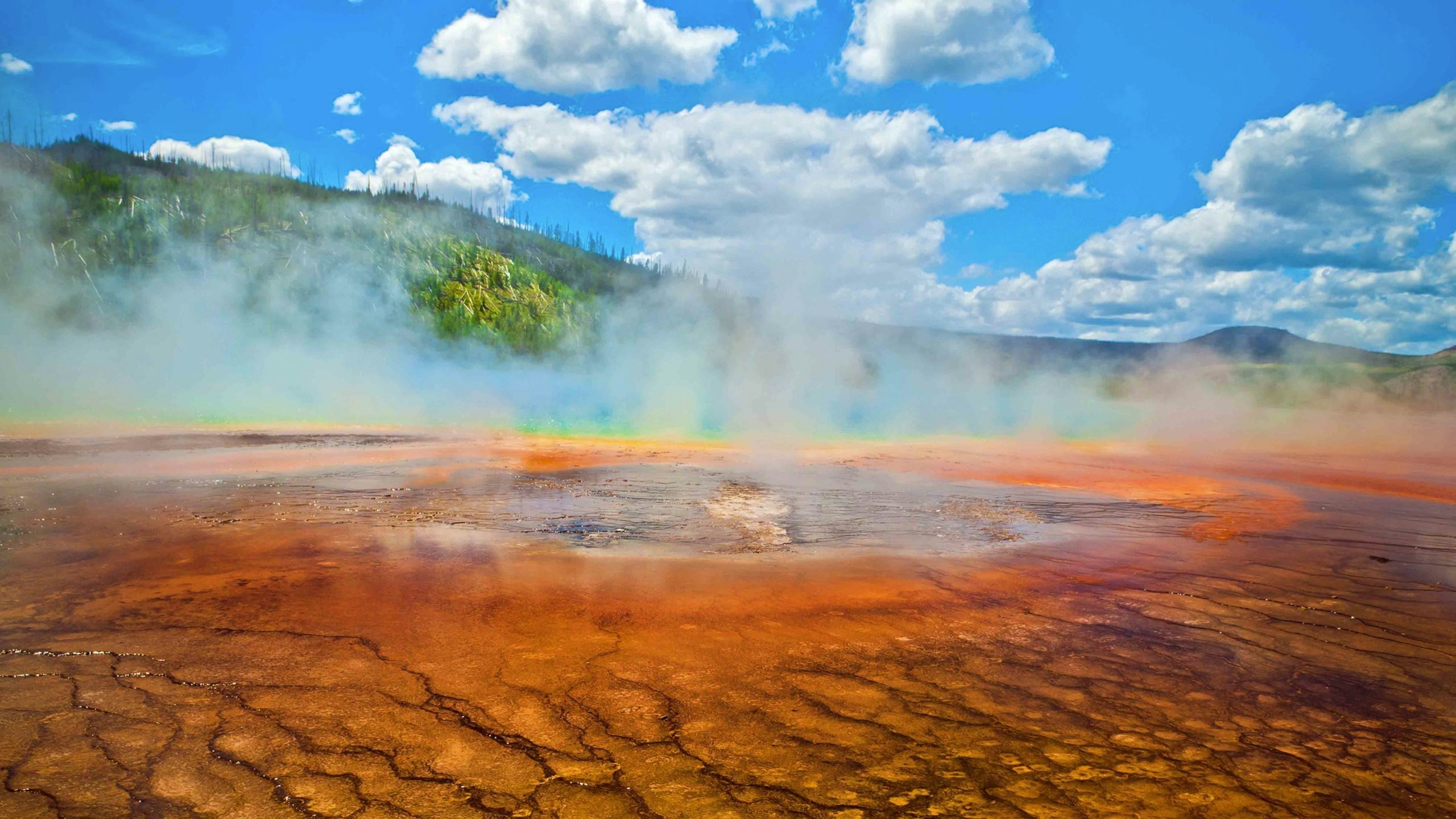 While the Wyoming craton is the most stable place under North America, the region also is home to Yellowstone National Park, which is one of the planets hot spots and is creating some of its younger rocks.
