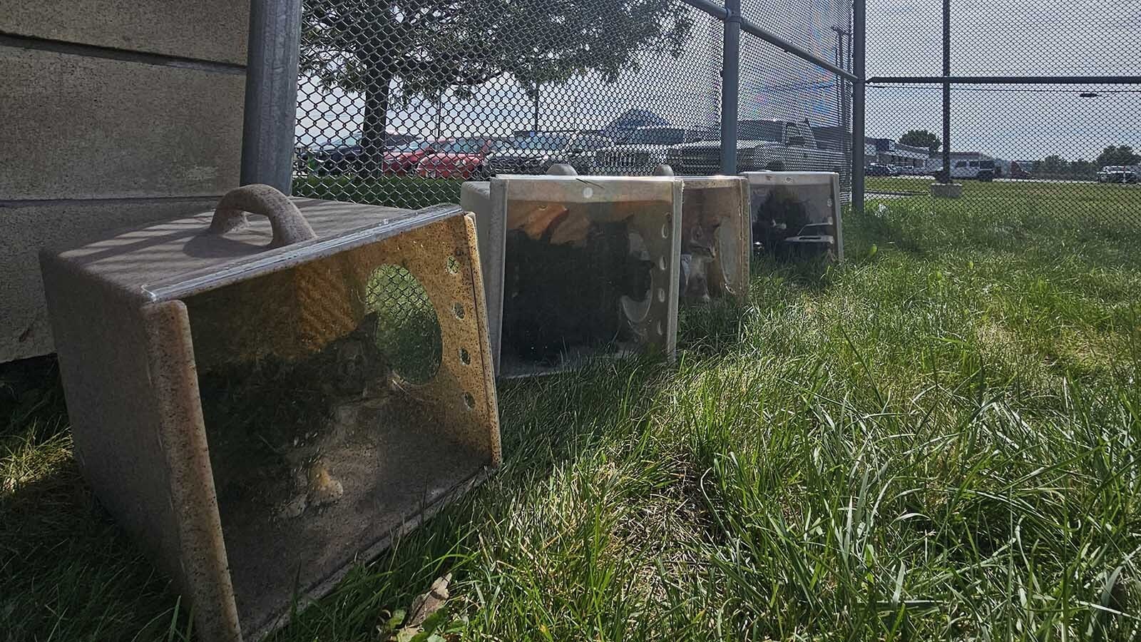 The Billings animal shelter finally has a new home months after police flooded it with smoke from 200 pounds of meth burned in a shared crematorium. There still hasn’t been an answer to why the PD burned meth in an oven typically used for animals.