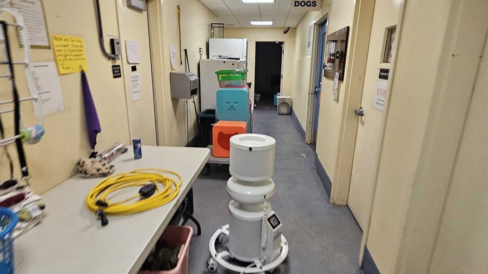 The Billings animal shelter finally has a new home months after police flooded it with smoke from 200 pounds of meth burned in a shared crematorium. There still hasn’t been an answer to why the PD burned meth in an oven typically used for animals.