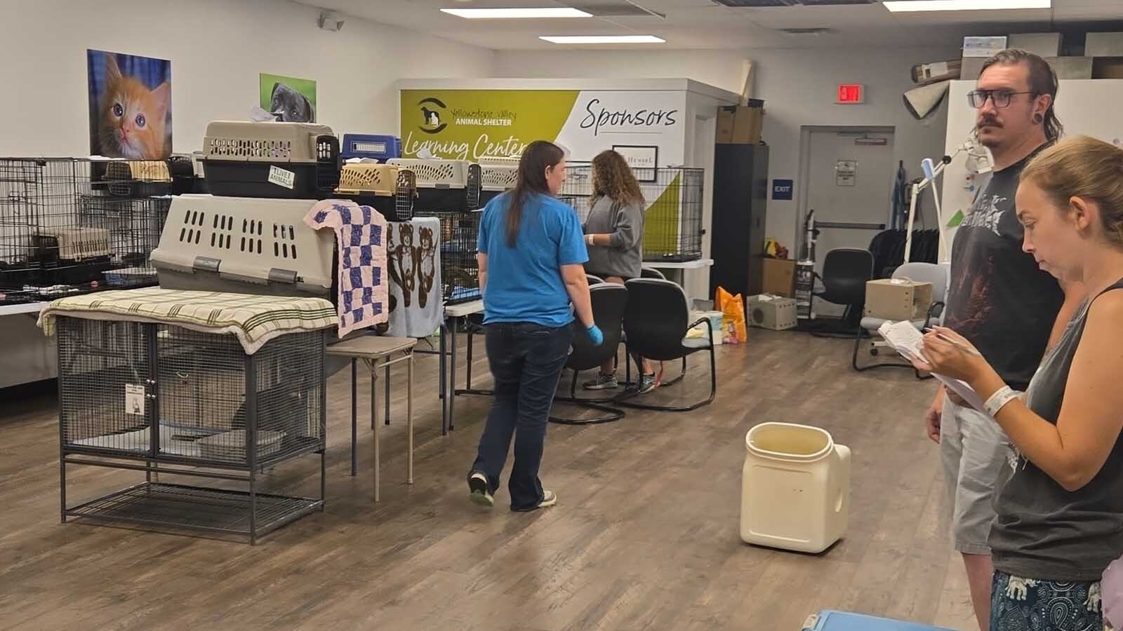 The Billings animal shelter finally has a new home months after police flooded it with smoke from 200 pounds of meth burned in a shared crematorium. There still hasn’t been an answer to why the PD burned meth in an oven typically used for animals.