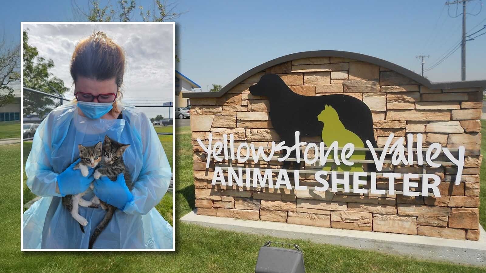 The Billings animal shelter finally has a new home months after police flooded it with smoke from 200 pounds of meth burned in a shared crematorium. There still hasn’t been an answer to why the PD burned meth in an oven typically used for animals.
