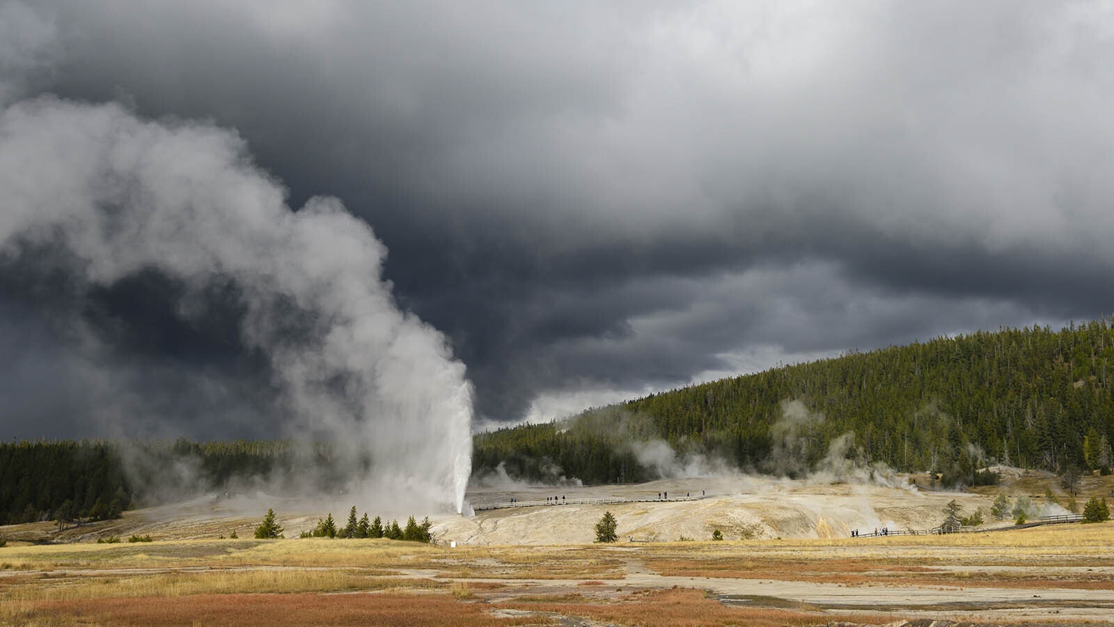 Volcanic activity at Fountain Flats in Yellowstone National Park.