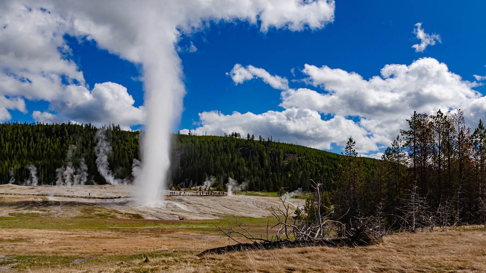 Old Faithful Geyser spouts off at Yellowstone National Park, which sits atop a supervolcano.