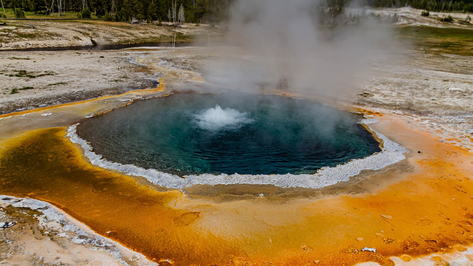 The water in a thermal pool bubbles in Yellowstone National Park, which sits atop a supervolcano.