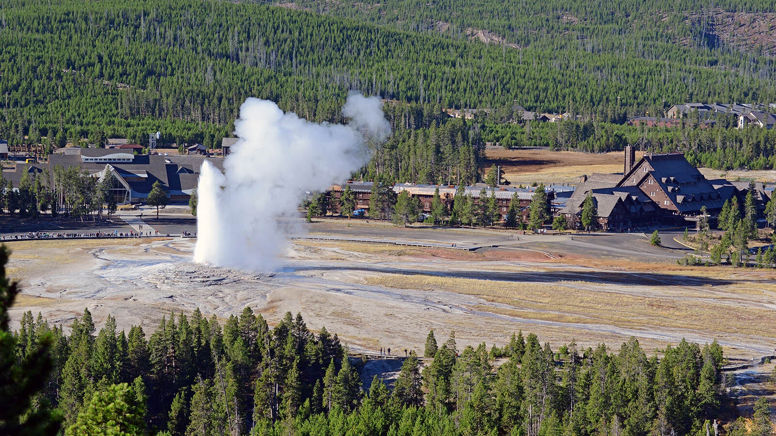 Old Faithful Geyser spouts off at Yellowstone National Park, which sits atop a supervolcano.