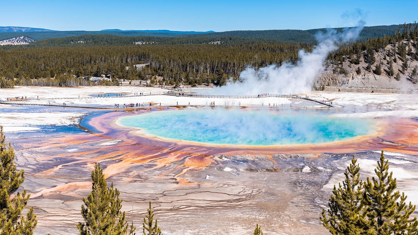 Steam rises from the colorful Grand Prismatic Hot Spring in Yellowstone National Park.