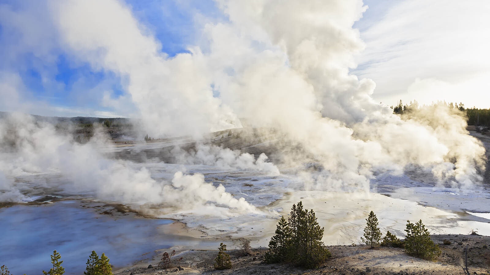 The Norris Geyser Basin in Yellowstone National Park looks like a primordial volcanic field waiting to erupt.