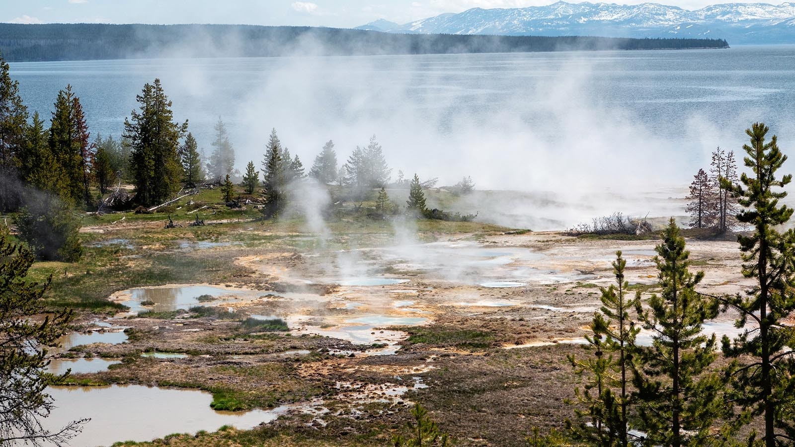 Yellowstone thermal 9 18 24