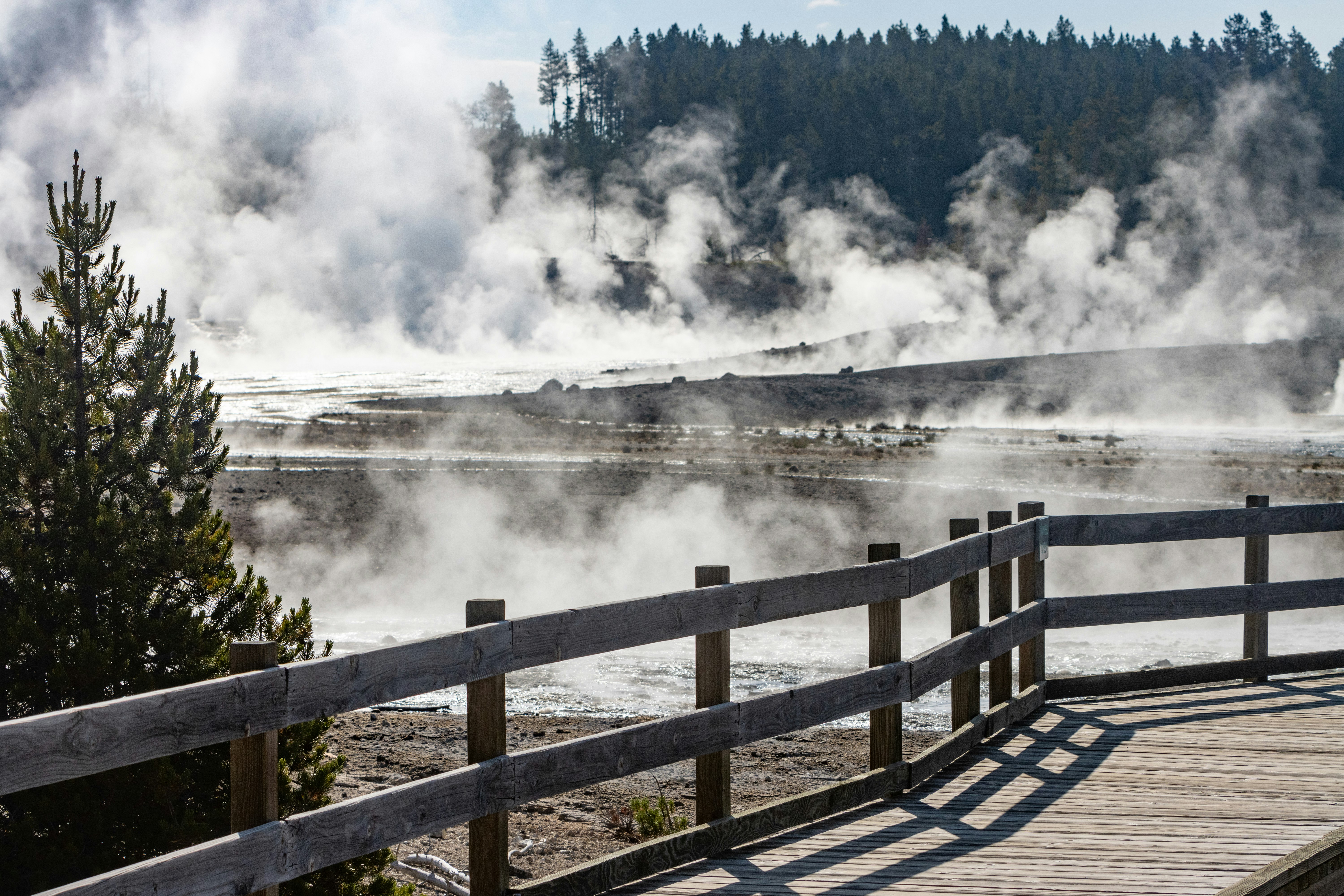 Boardwalk at Norris Geyser Basin in Yellowstone National Park, Wyoming.