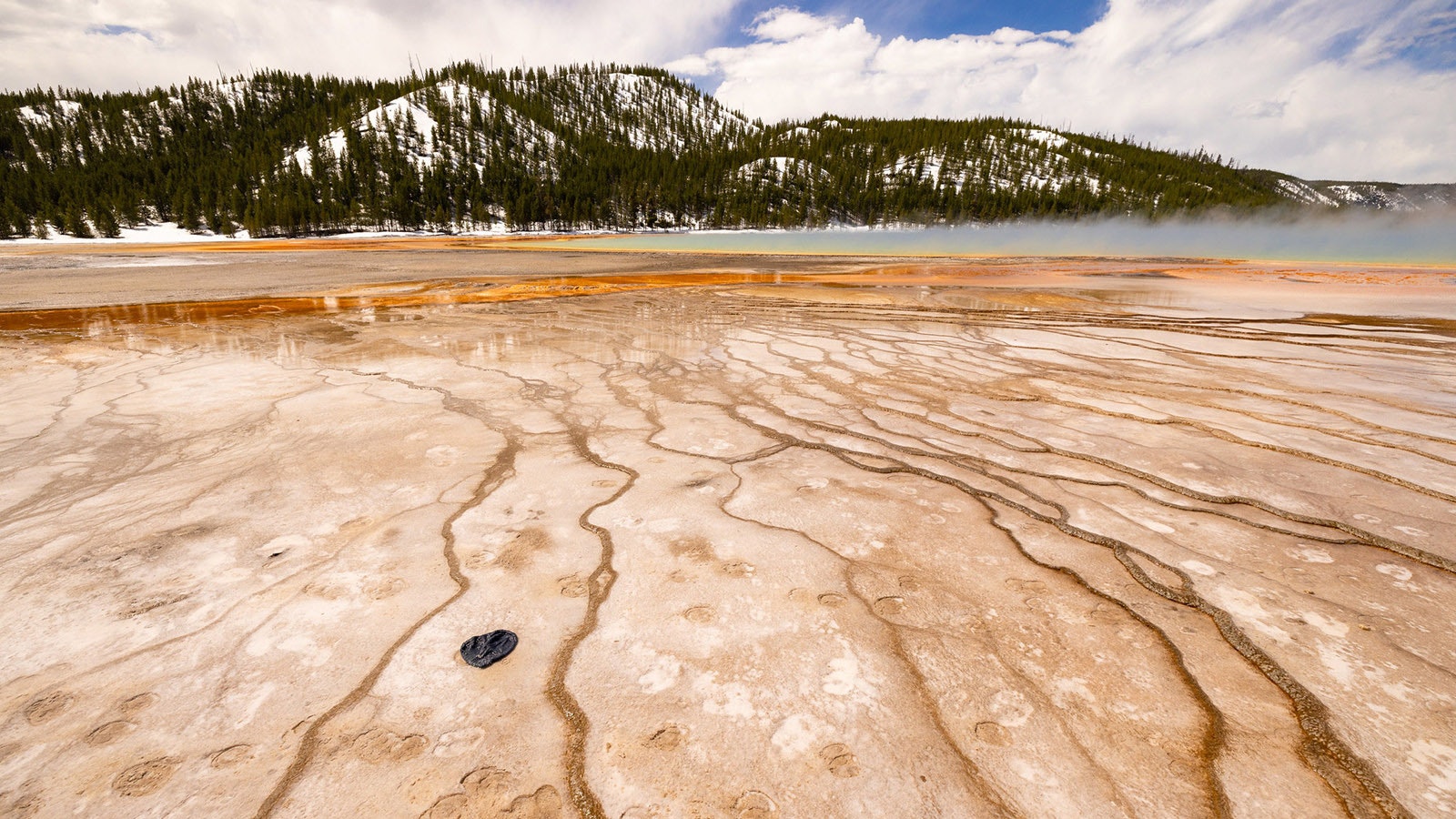A hat can be seen in Grand Prismatic in 2023.
