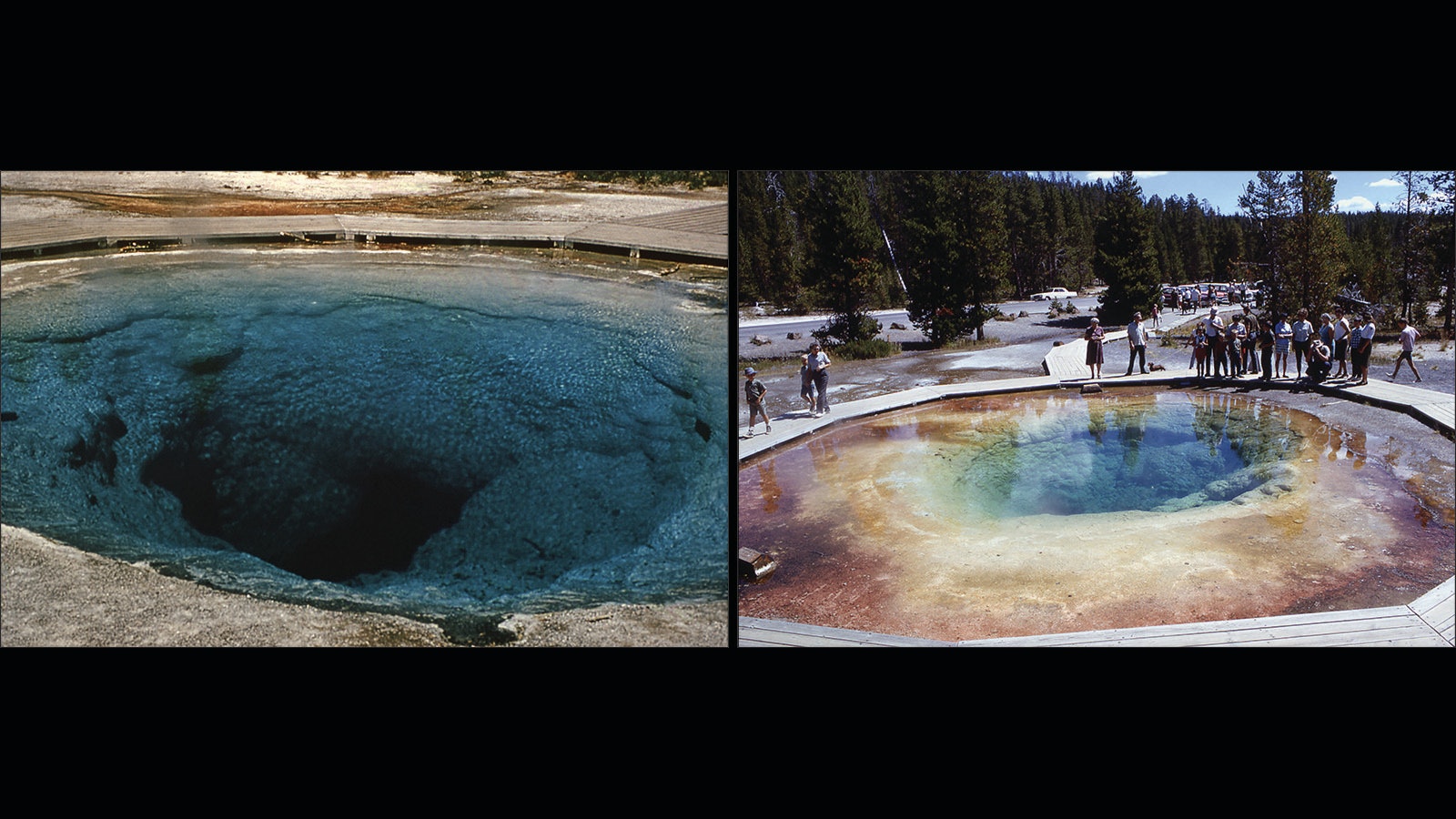 Morning Glory Pool used to be clear blue in color, as shown in the historic undated photo on the left (National Park Service photo by Rentchler).  However, close proximity to the road leading to Old Faithful (seen in the background of the photo on the right -- National Park Service photo by William Keller from 1965) meant heavy visitation, and tourists throwing so much garbage into the pool that the clear blue color was lost.