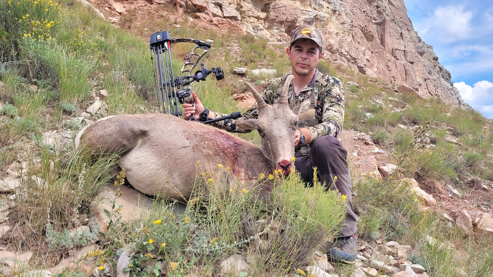 This was one of six ewes killed by hunters last fall from the Jackson bighorn sheep herd. Game and Fish has issued more ewe/lamb tags for the herd this fall.