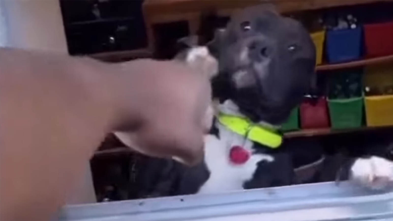 You still here 3 30 25