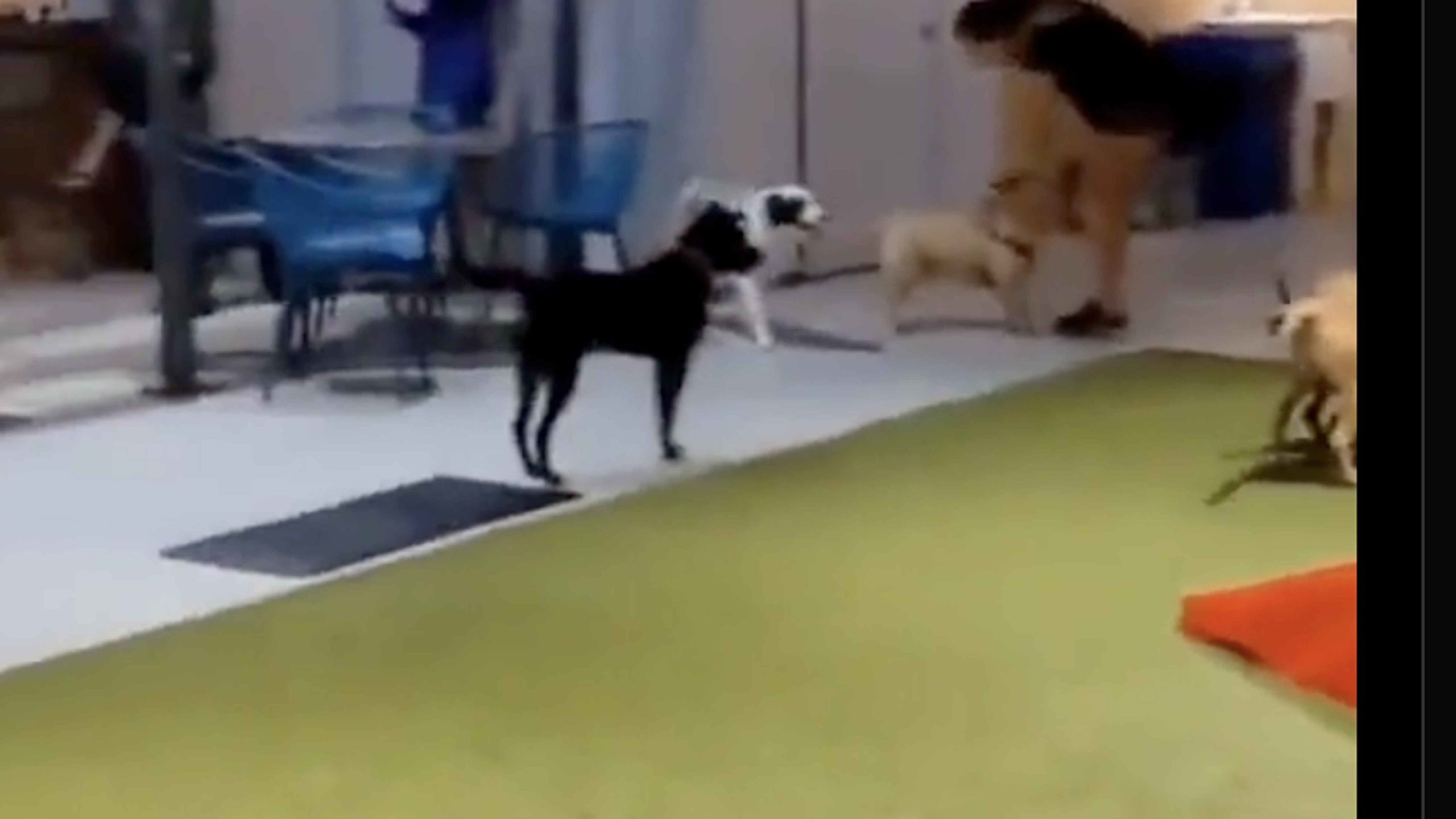 Youre Still Here no play 9 26 22 scaled