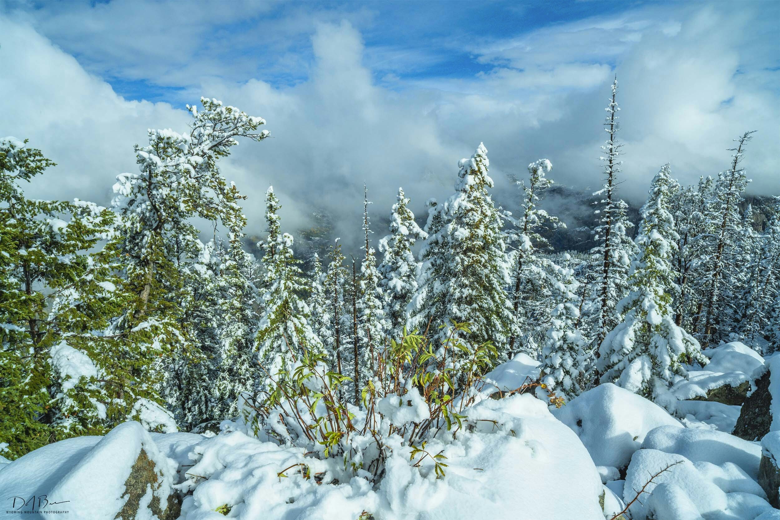 Skyline Drive above Pinedale on October 5, 2025