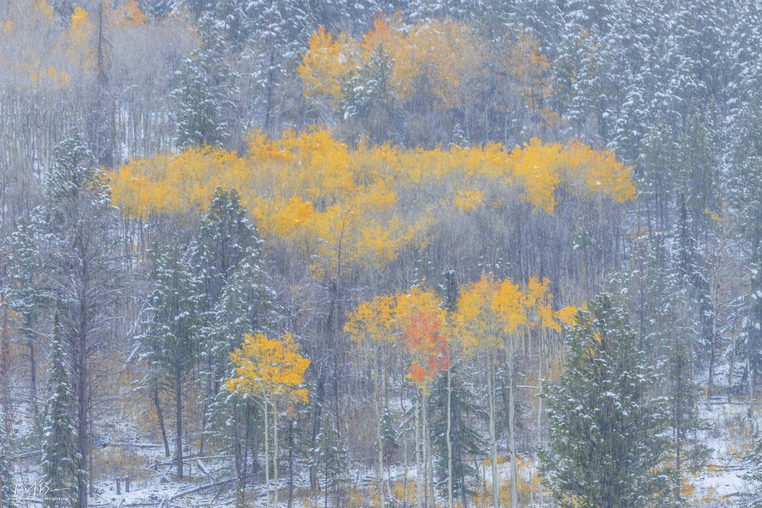 Skyline Drive above Pinedale, Wyoming. October 5, 2025