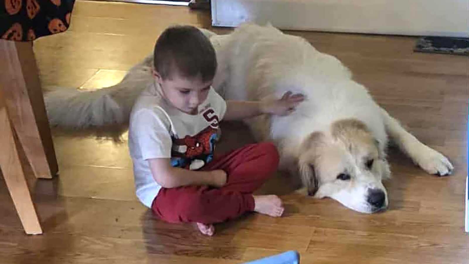 Zero is one of more than 100 animals rescued from a hoarder earlier in October, and seems to be having no issues adapting to his new home with the Clayton Harward-Willmer family.