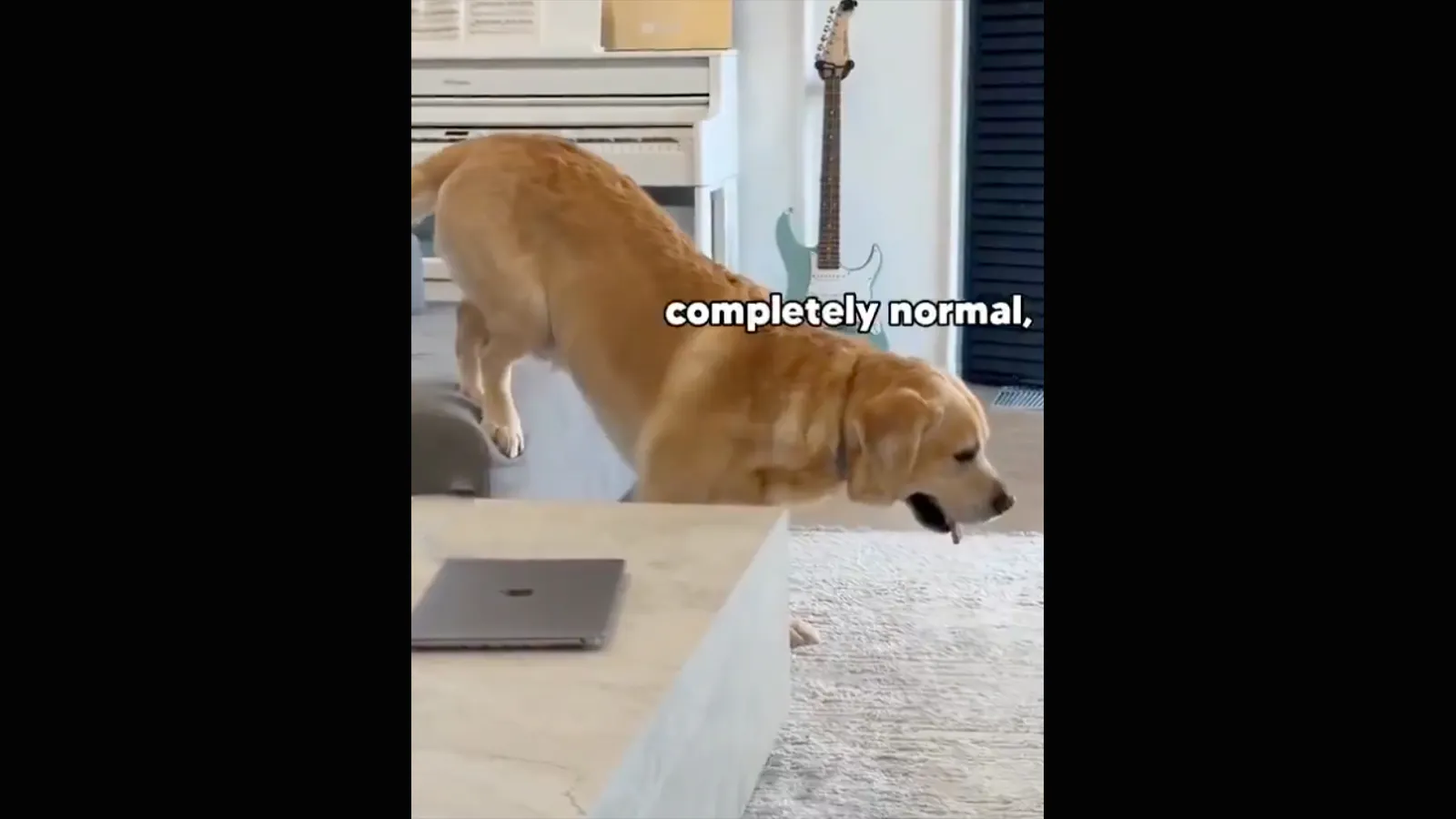Accomplishing goals no play 8 16 26