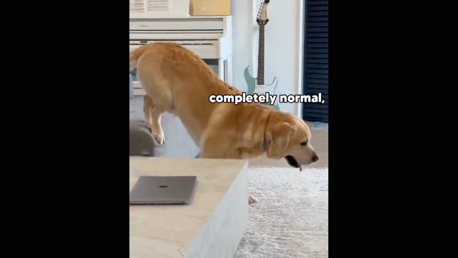 Accomplishing goals no play 8 16 26