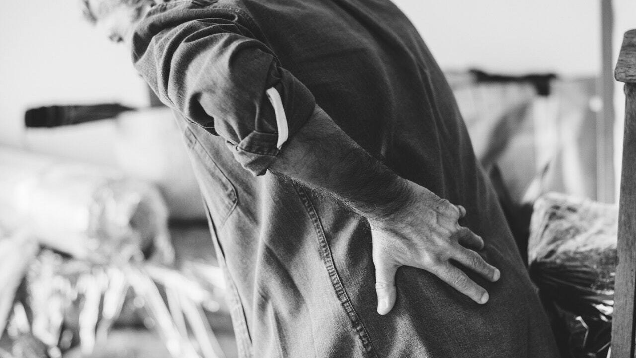 Ache adult back pain 1573823