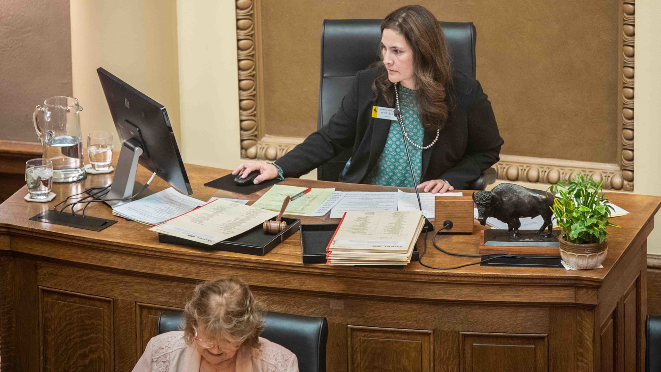 Affie ellis legislature 3 15 22 scaled