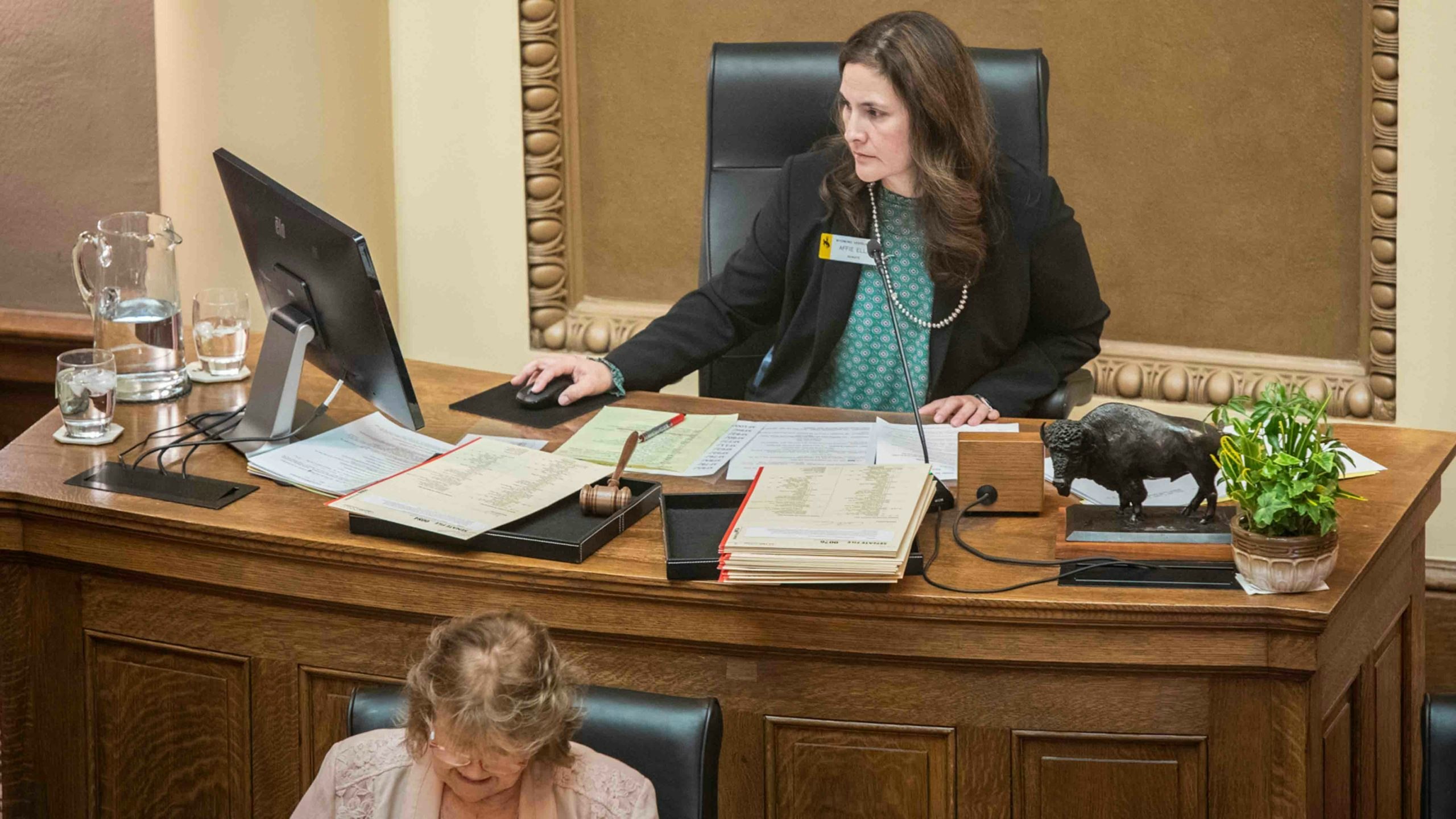 Affie ellis legislature 3 15 22 scaled