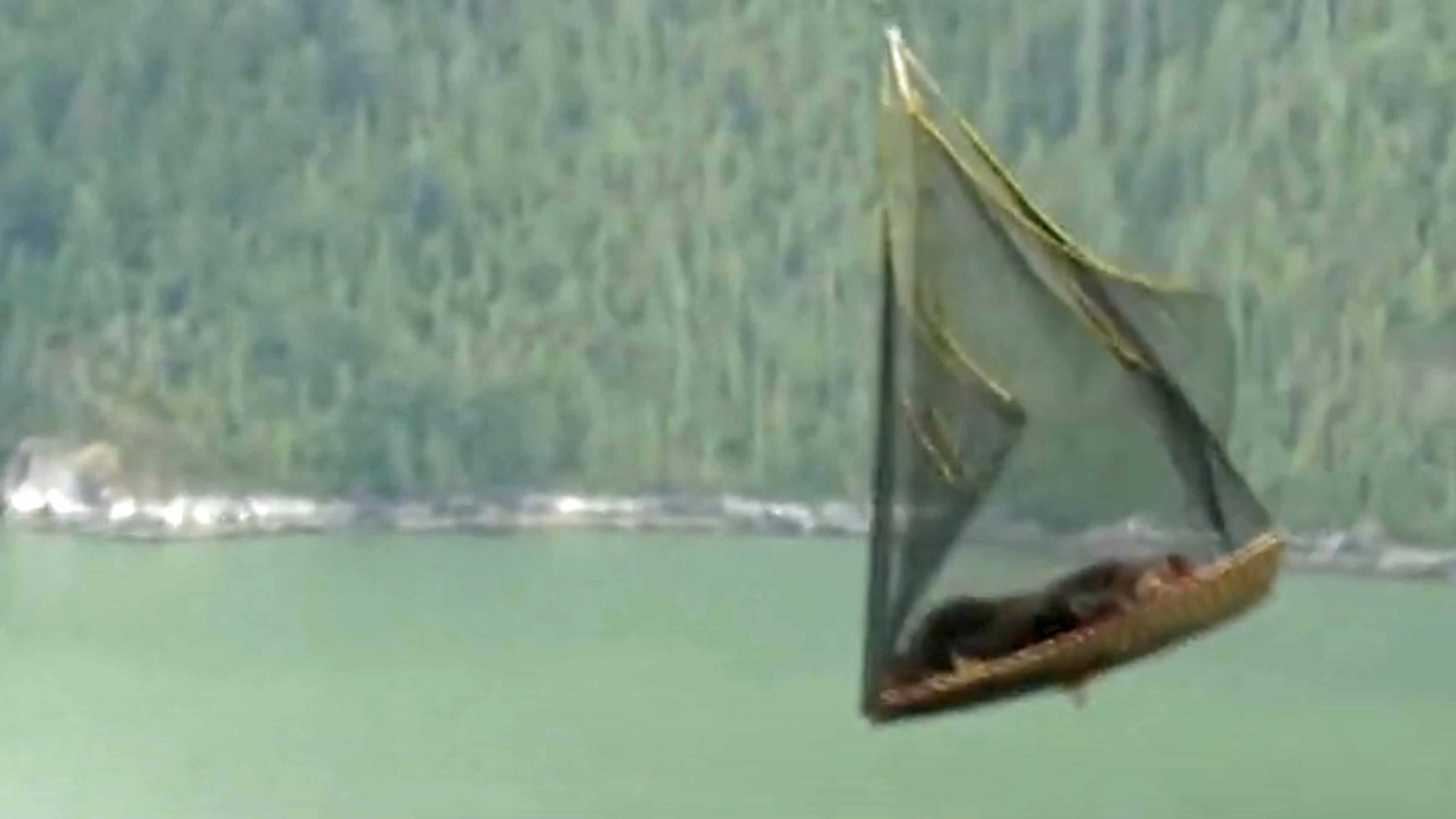 Grizzlies are sometimes transported by air, tranquilized and slung under helicopters, like these bears in Canada were. A similar method could be used to relocate Wyoming Grizzlies to Washington State’s North Cascades region.