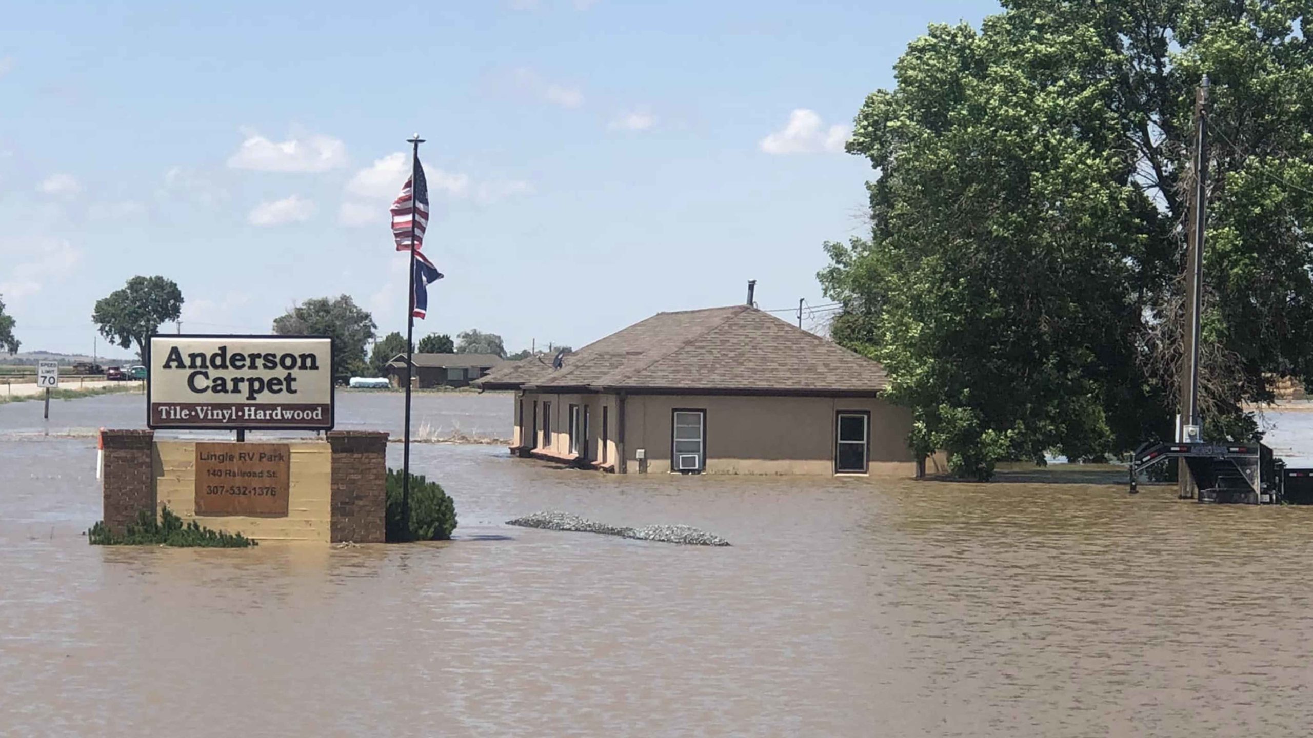 Anderson carpet lingle 7 1 22 scaled