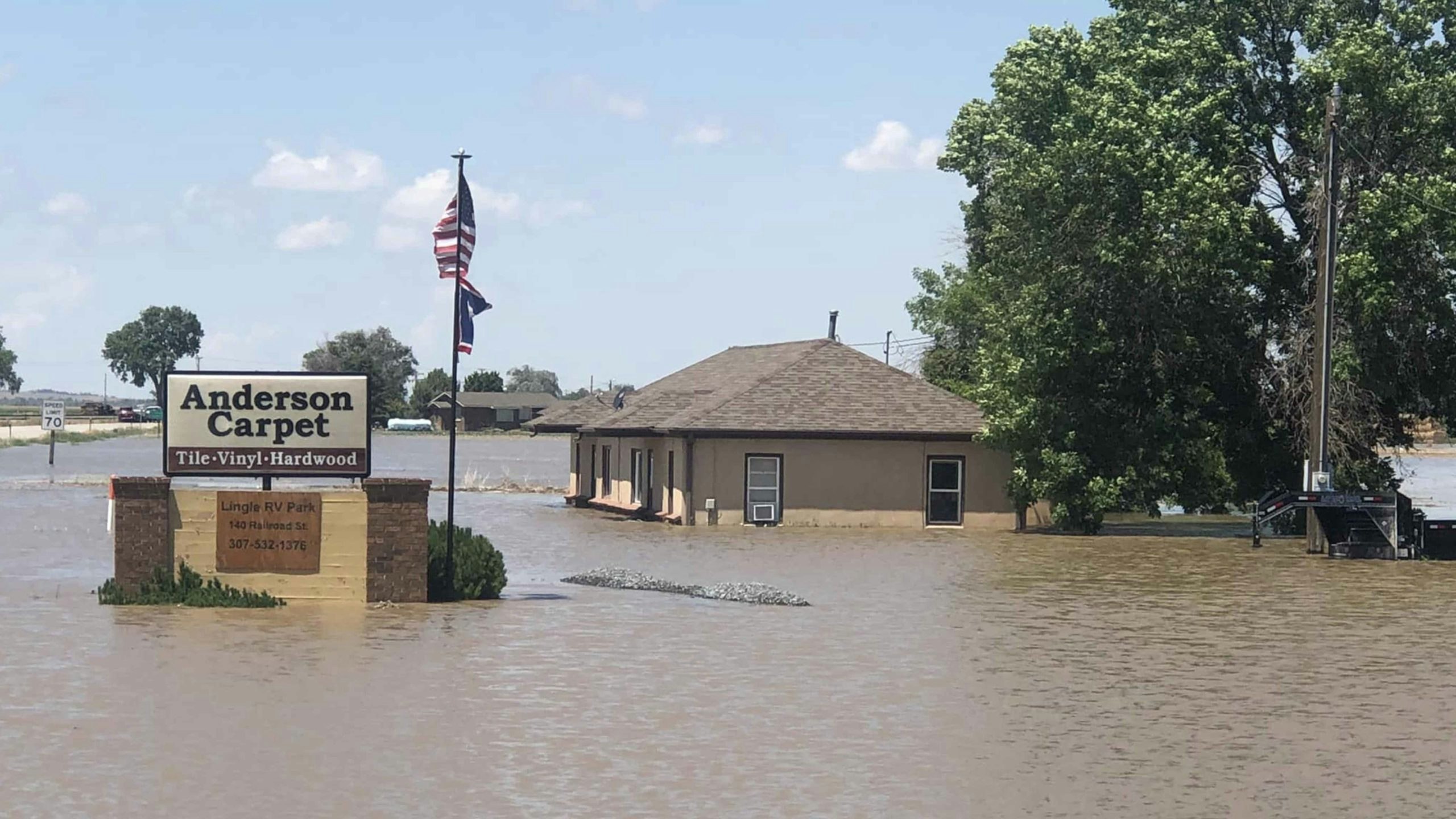 Anderson carpet lingle 7 1 22 scaled