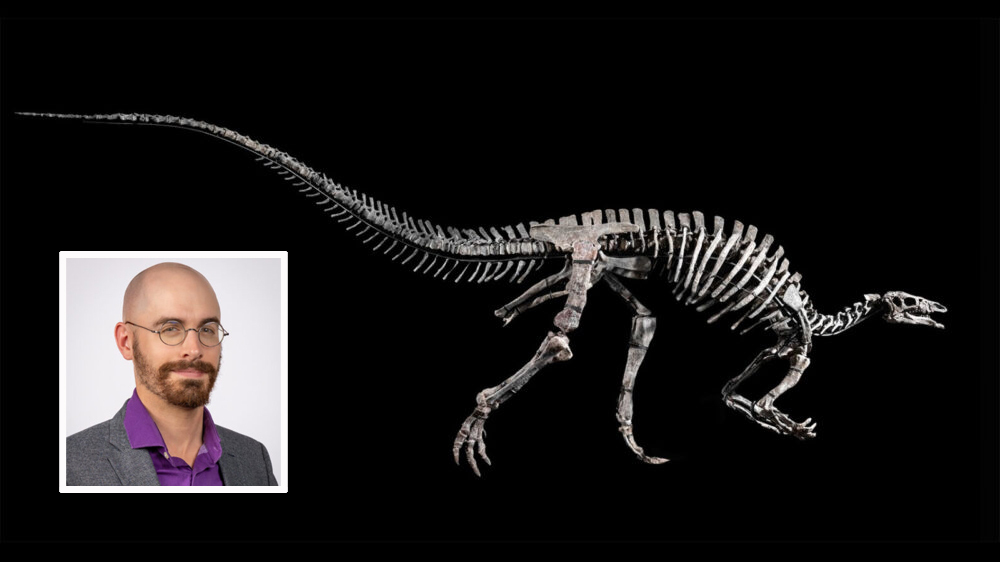 Andrew dinosaur 12 24 25