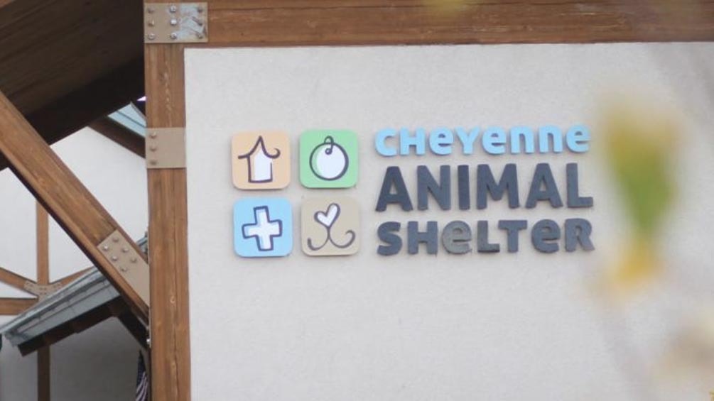 Animal shelter photo