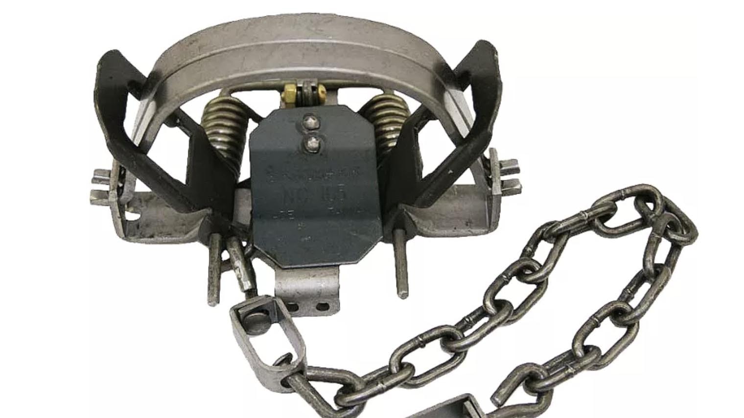 Animal trap