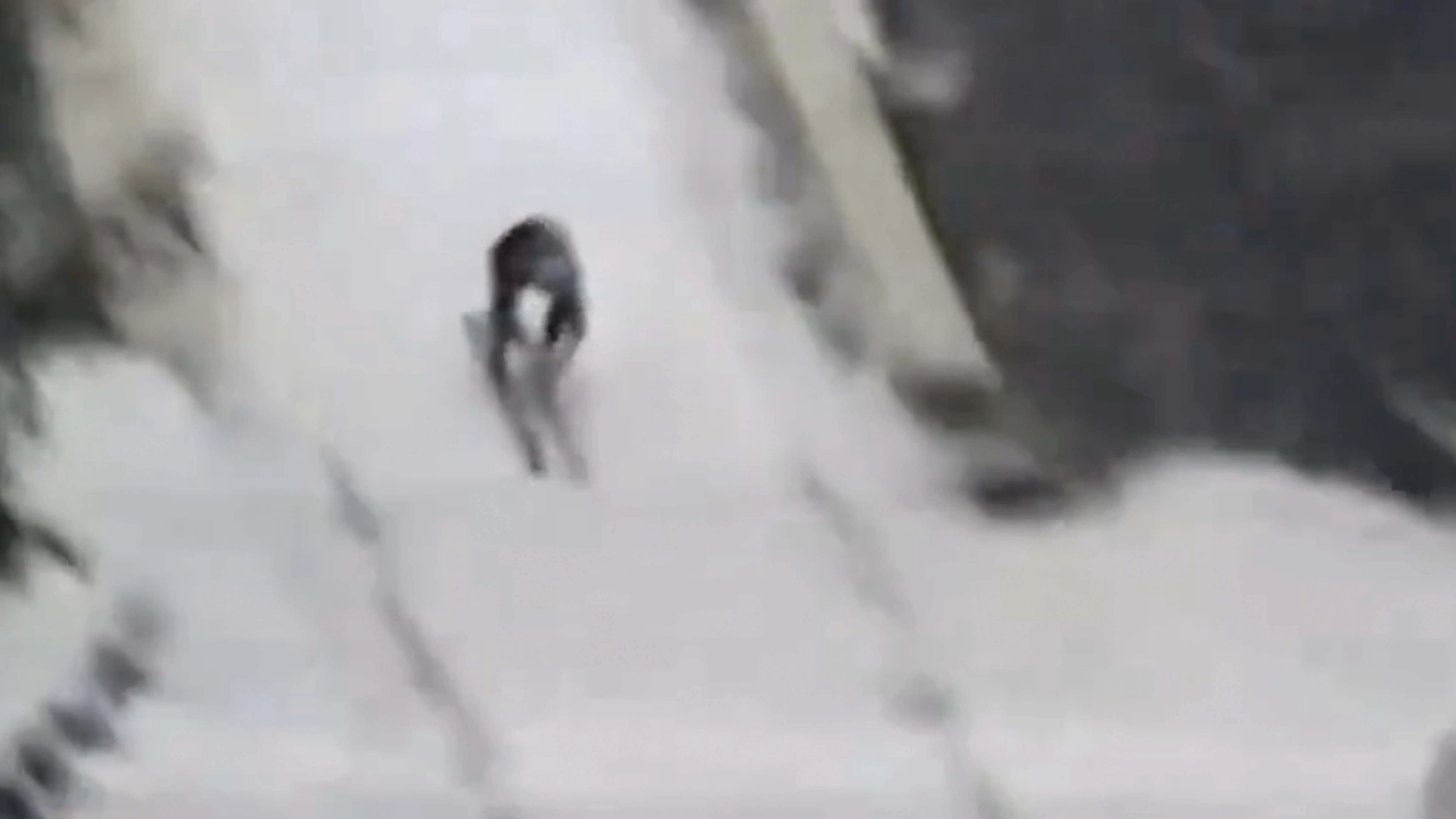 Anniversaries 3 22 26