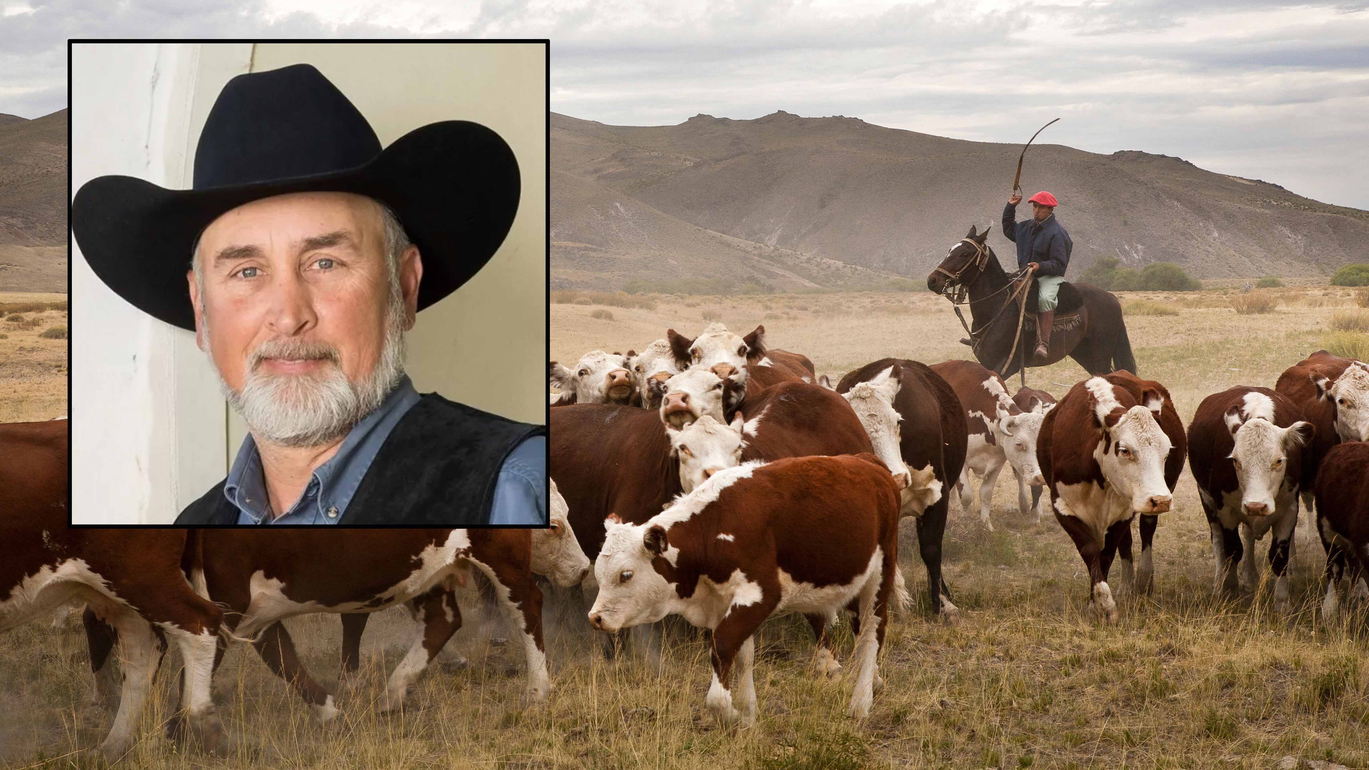 Wyoming cattle ranchers are worried over President Trump's executive order allowing 80,000 more metric tons of beef trimmings from Argentina. Inset: Laramie County rancher Mark Eisele