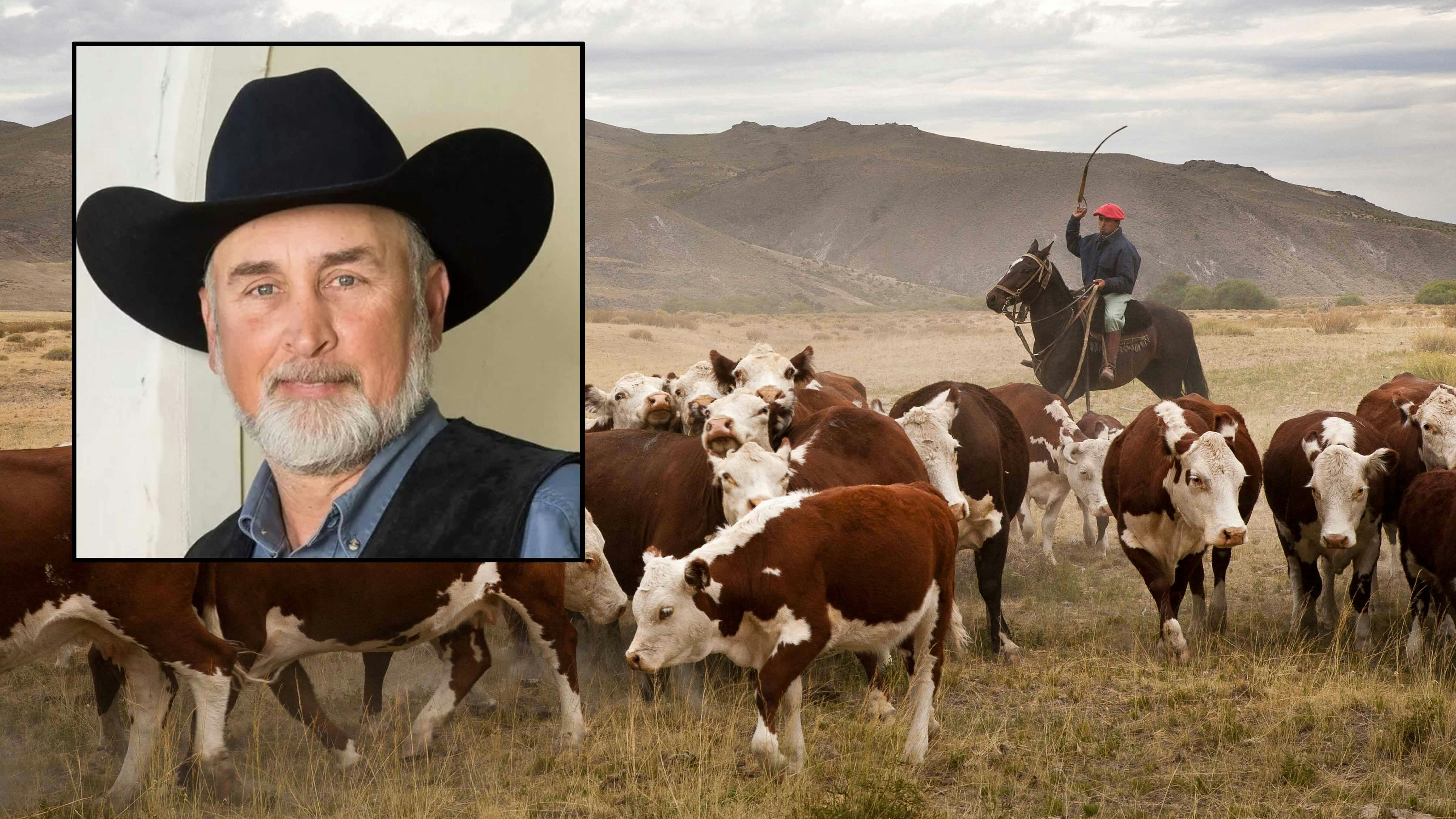 Wyoming cattle ranchers are worried over President Trump's executive order allowing 80,000 more metric tons of beef trimmings from Argentina. Inset: Laramie County rancher Mark Eisele