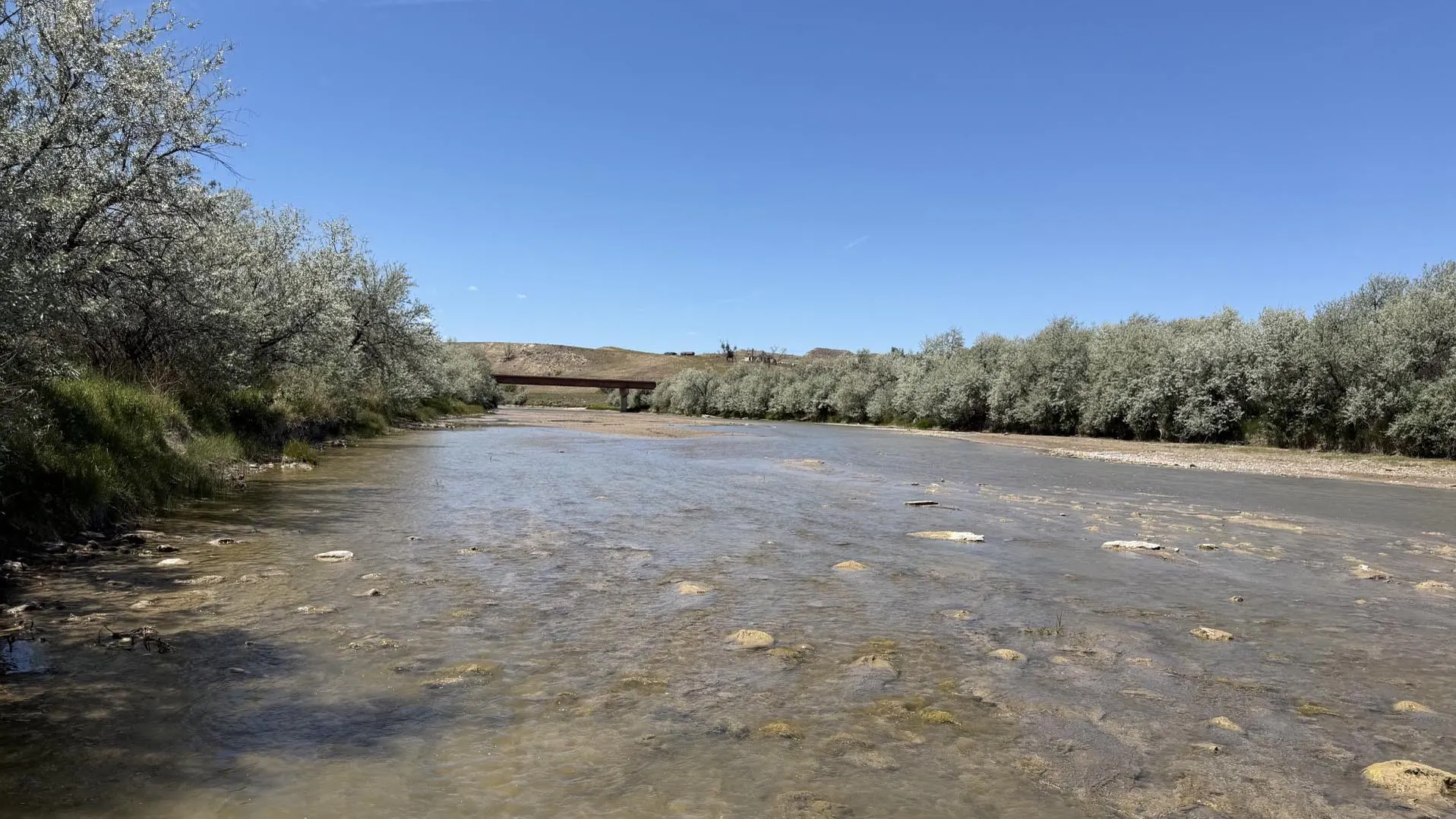 The Powder River at Arvada in Sheridan County was extremely low, at 17.4 cubic feet per second (cfs), when this photo was taken on June 16. It’s since dropped to 0 cfs.