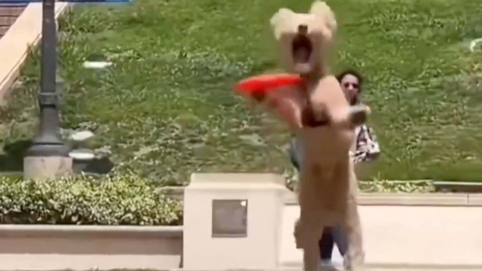 Athleticism 2 8 25 25