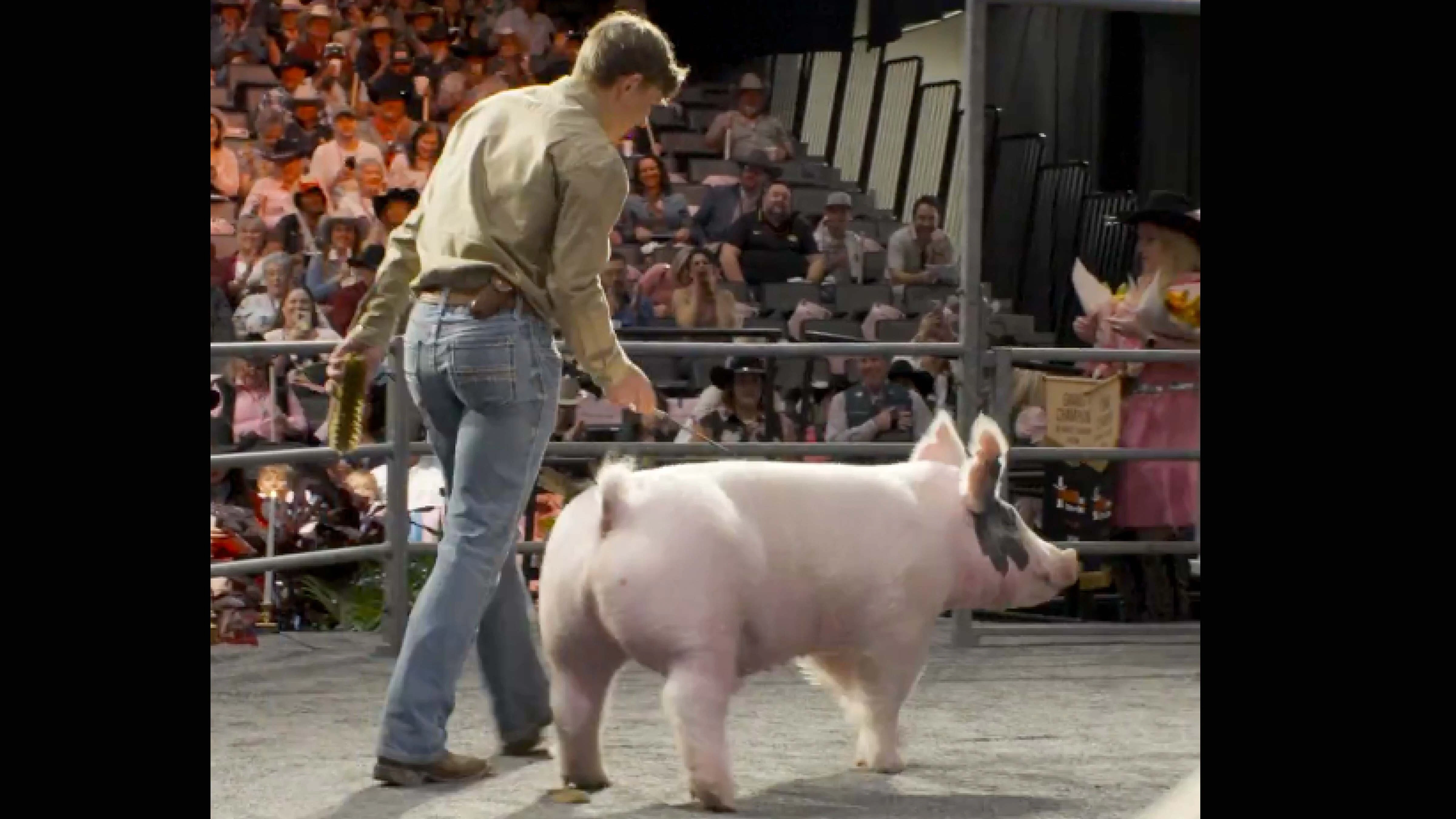 Auctions 3 22 26 no play