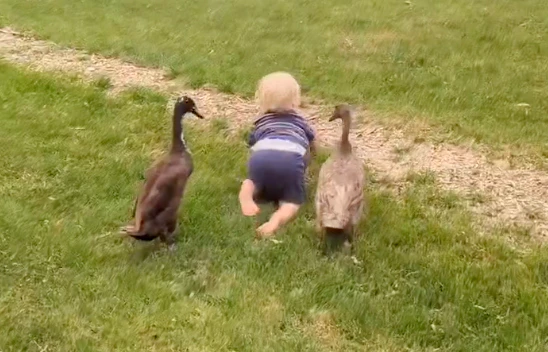 Babies 7 28 26