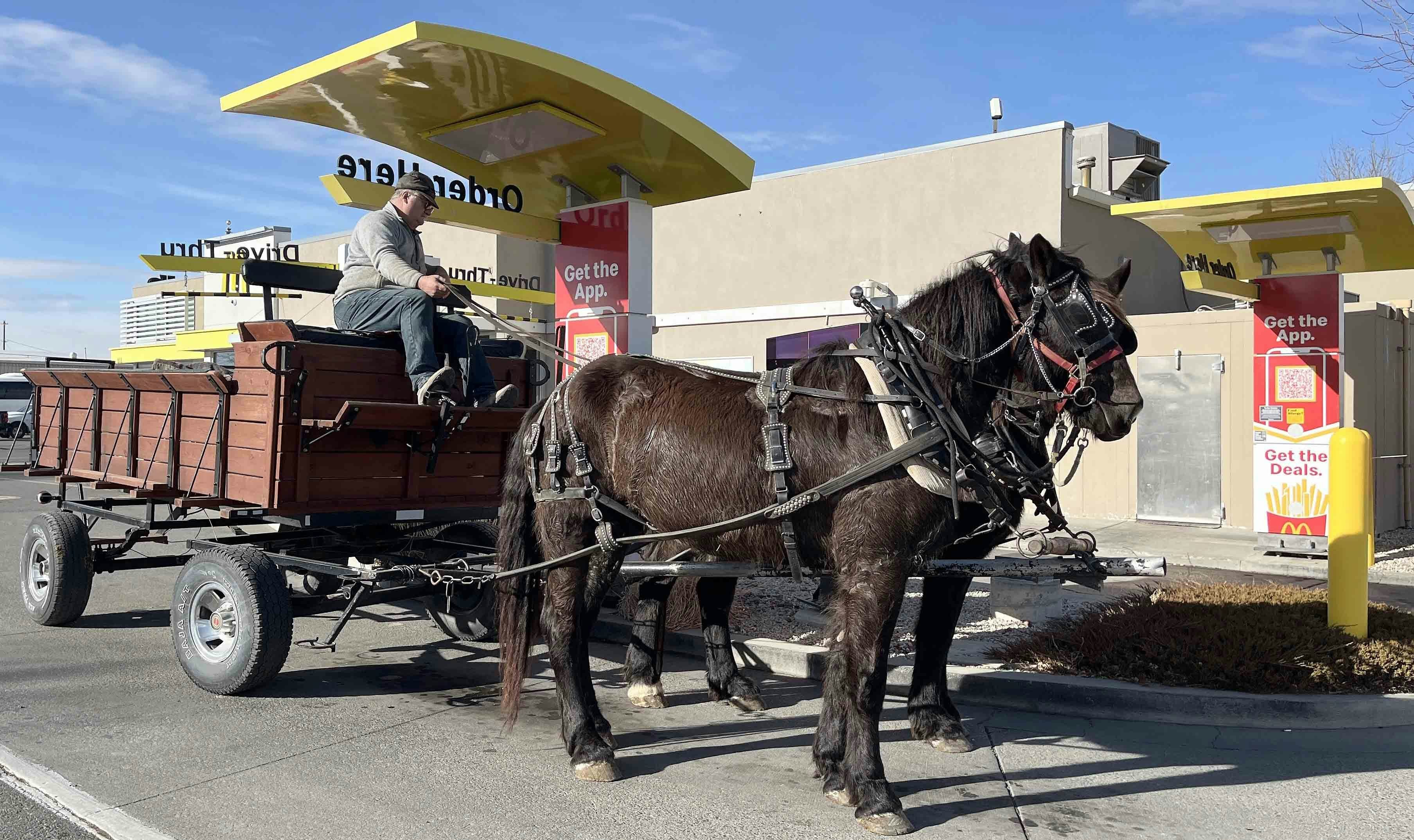 Powell Man Banned From McDonald's After Driving Horses Through Drive-Thru