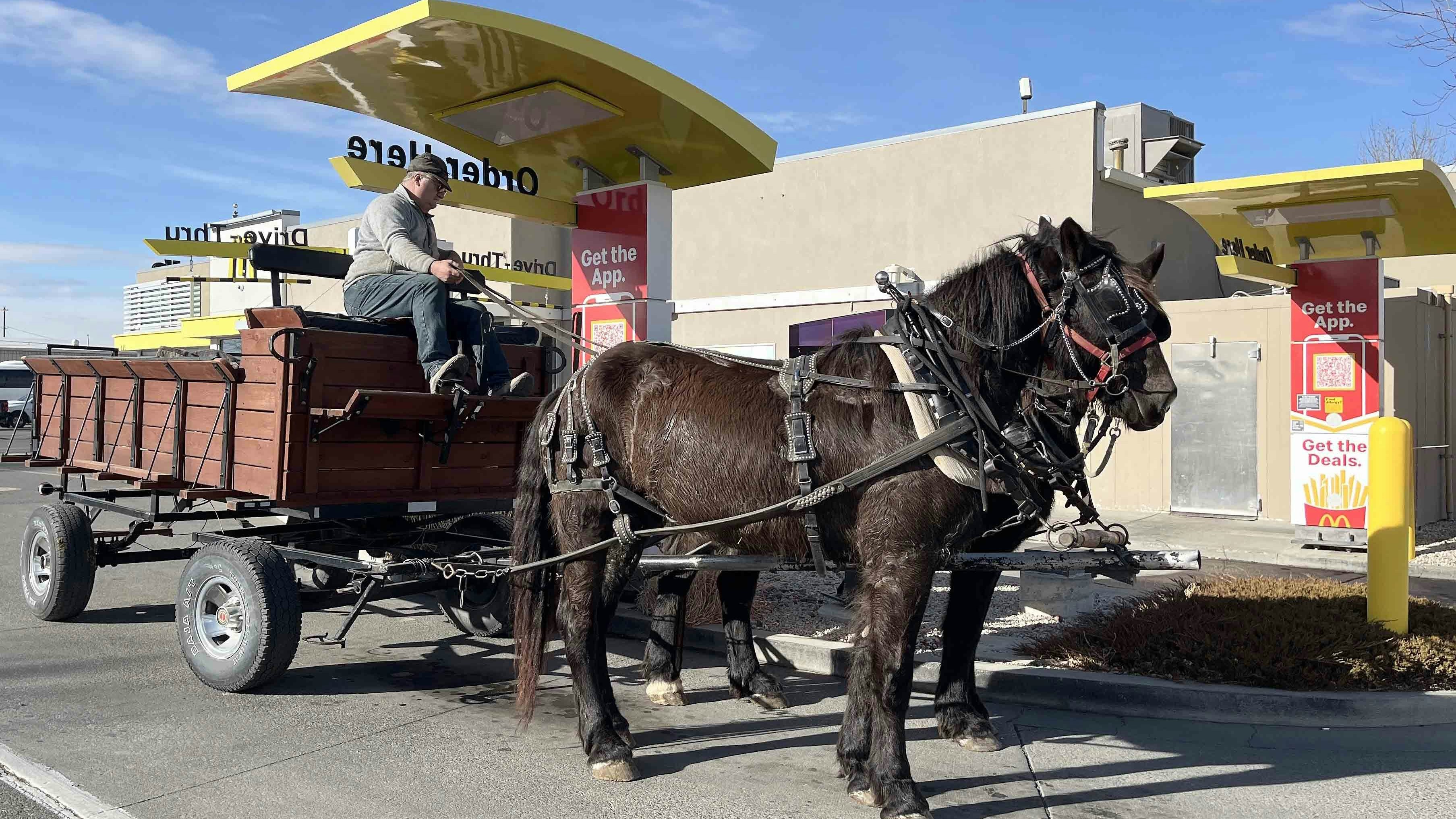 Powell Man Banned From McDonald's After Driving Horses Through Drive-Thru